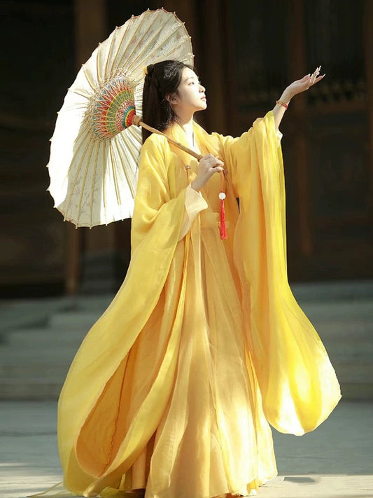 Wei Jin Dynasty Hanfu Robe | Golden Meadow