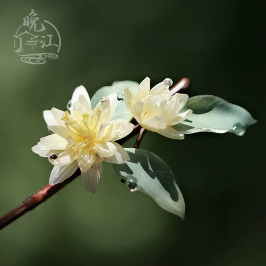 Wood Fragrance Hair Stick hanfu hairpin - detail view