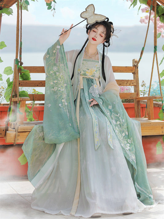 Xiaoxiang 潇湘 - Tang Dynasty Style Hanfu Dress Heziqun