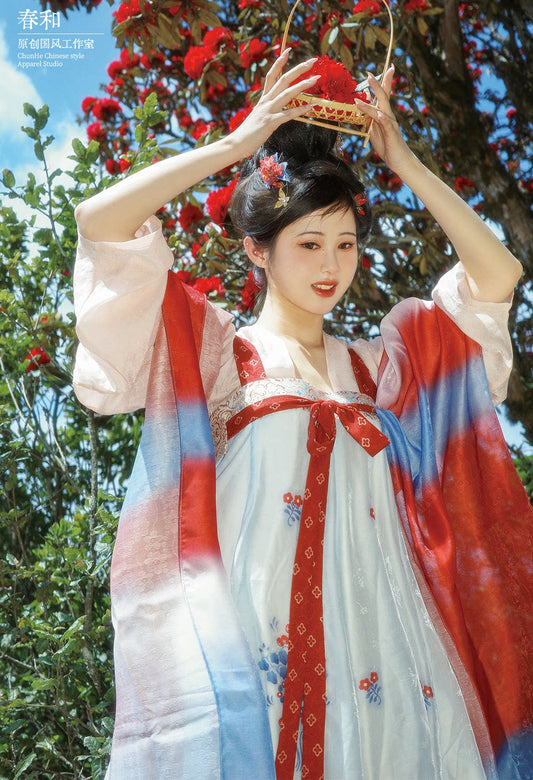 Mei Hua Su | Tang Style Modern Hanfu Dress for Spring