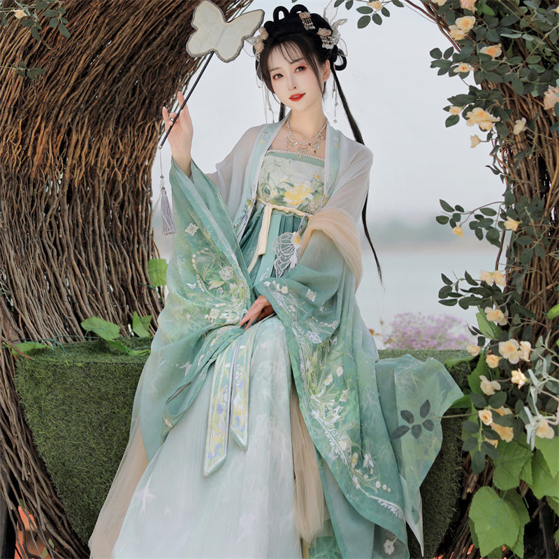 Xiaoxiang 潇湘 - Tang Dynasty Style Hanfu Dress Heziqun