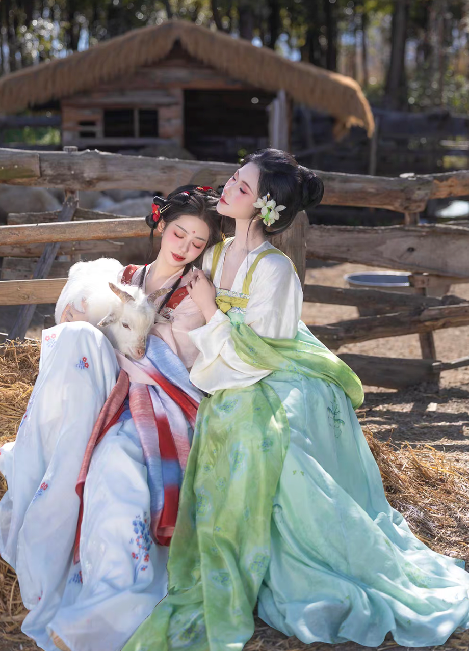 Yu Lu Tuan | Tang Style Short Jacket Hanfu Set for Spring Daily Wear