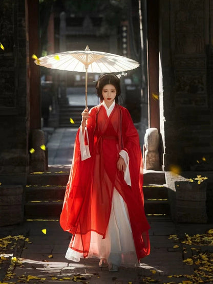 Wei Jin Dynasty Hanfu Robe | Graciela