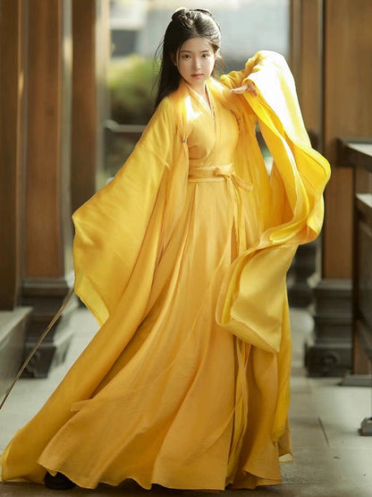 Wei Jin Dynasty Hanfu Robe | Golden Meadow