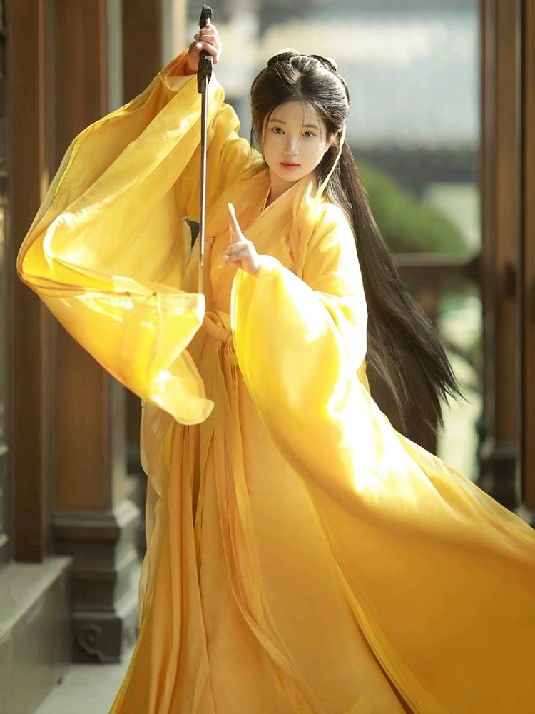 Wei Jin Dynasty Hanfu Robe | Golden Meadow