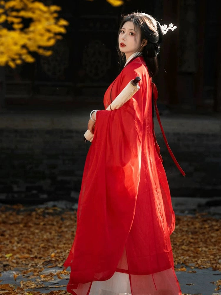 Wei Jin Dynasty Hanfu Robe | Graciela