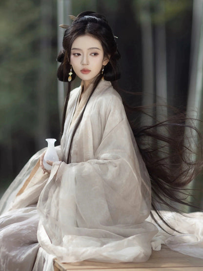 Wei Jin Dynasty Hanfu Robe | Snow Blossoms