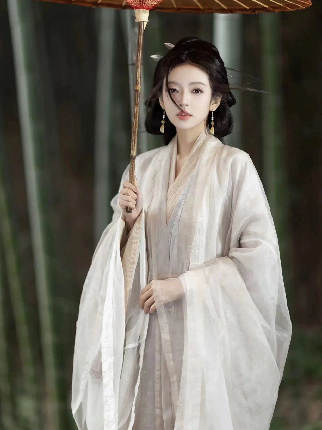 Wei Jin Dynasty Hanfu Robe | Snow Blossoms