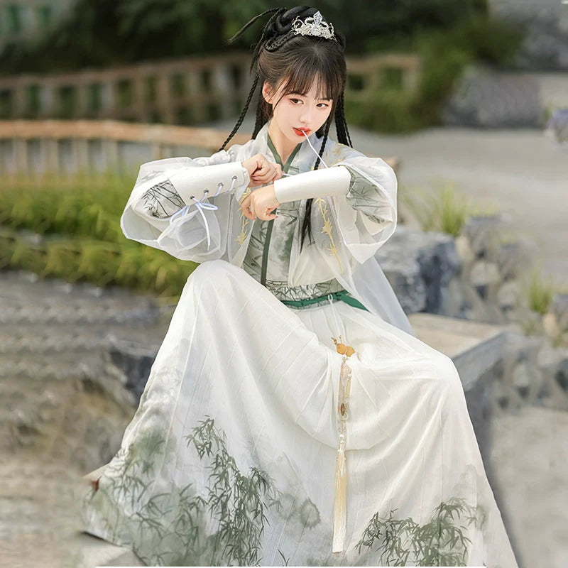 Wei Jin Dynasty Qiyao Ruqun Hanfu | Swordsman 少侠