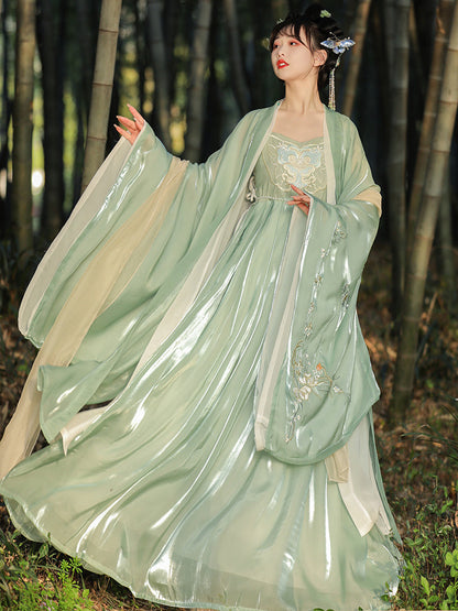 Ode to the Twilight 暮鸢颂 - Tang Dynasty Style Hanfu Dress Heziqun