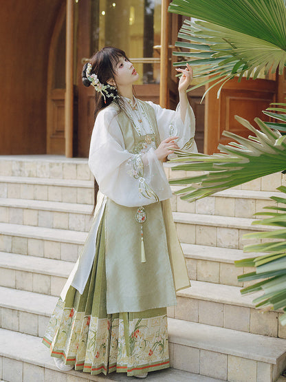 Ming Dynasty Spring Hanfu Outfit with Robe & Mamian Skirt | Spring Returns 踏春归