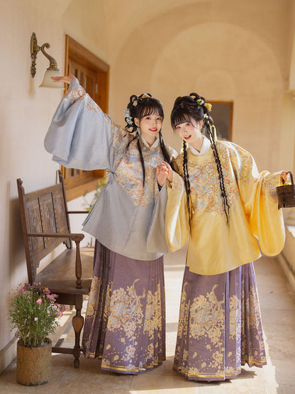 Ming Dynasty Round Collar Pipa Sleeve Top & Mamian Skirt | Melodies 棠织金音