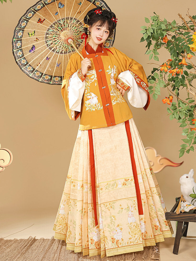 Ming Dynasty Embroidered Square Collar Jacket & Printed Mamian Skirt | Money Rabbit 钱兔