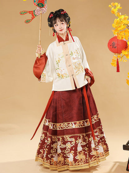 Ming Dynasty Embroidered Square Collar Jacket & Printed Mamian Skirt | Money Rabbit 钱兔