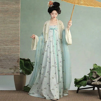 Simplicity - Tang Dynasty Style Qixiong Ruqun