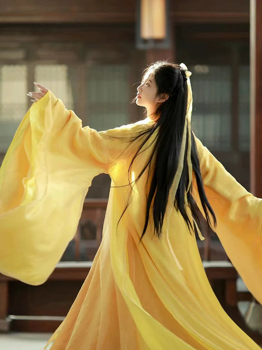 WJNS Dynasties Hanfu jiaoling ruqun - detail view