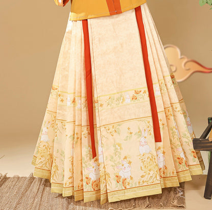 Ming Dynasty Embroidered Square Collar Jacket & Printed Mamian Skirt | Money Rabbit 钱兔