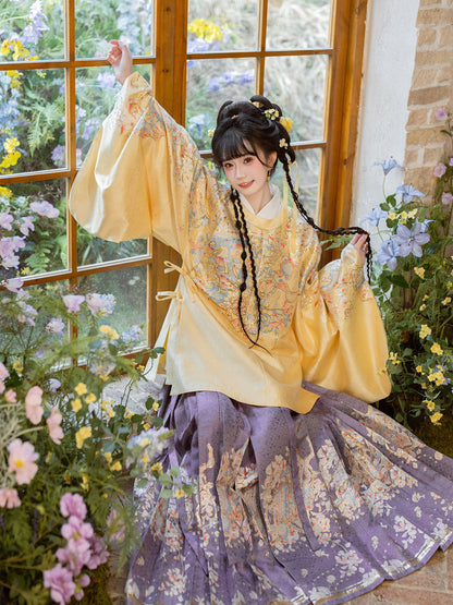 Ming Dynasty Round Collar Pipa Sleeve Top & Mamian Skirt | Melodies 棠织金音
