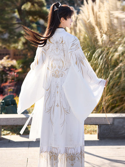 Traces of Stars | Wei Jin Dynasty Hanfu Set