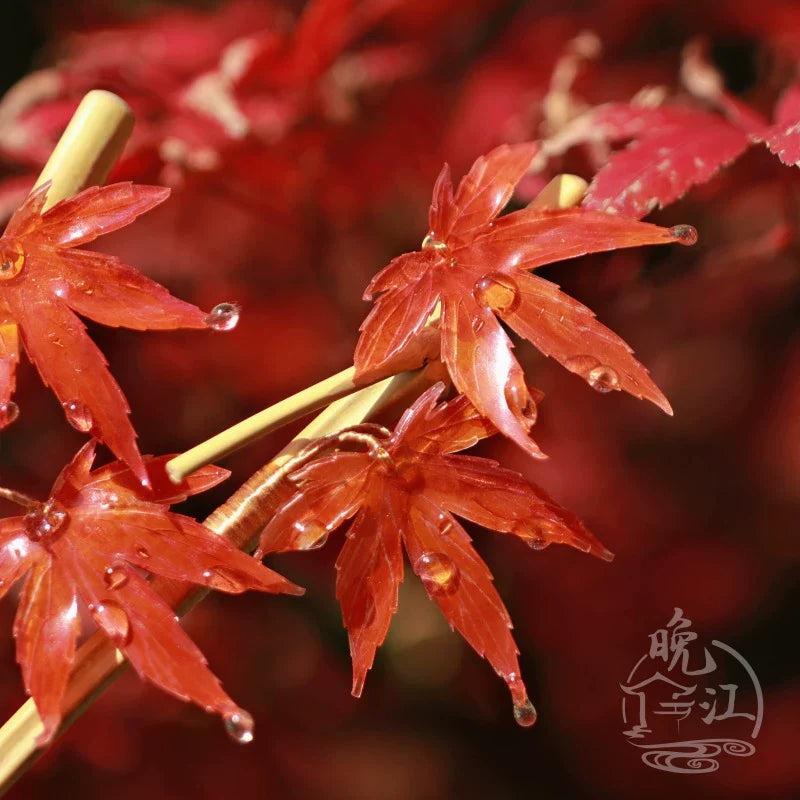 Maple Hair Stick | Ancient Chinese Hair Accessory