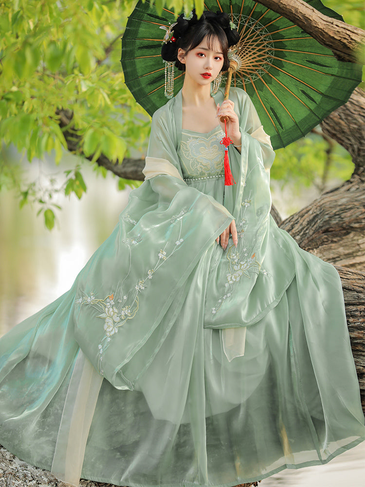 Ode to the Twilight 暮鸢颂 - Tang Dynasty Style Hanfu Dress Heziqun