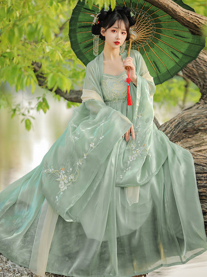 Ode to the Twilight 暮鸢颂 - Tang Dynasty Style Hanfu Dress Heziqun
