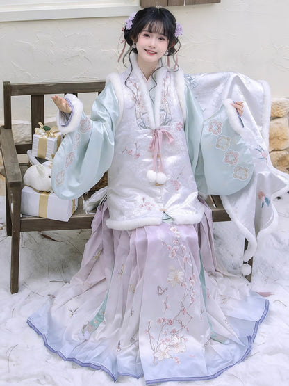Ming Dynasty Bijia Pipa Sleeve Top & Mamian Skirt for Winter | Plum Blossom Date 赏梅有约