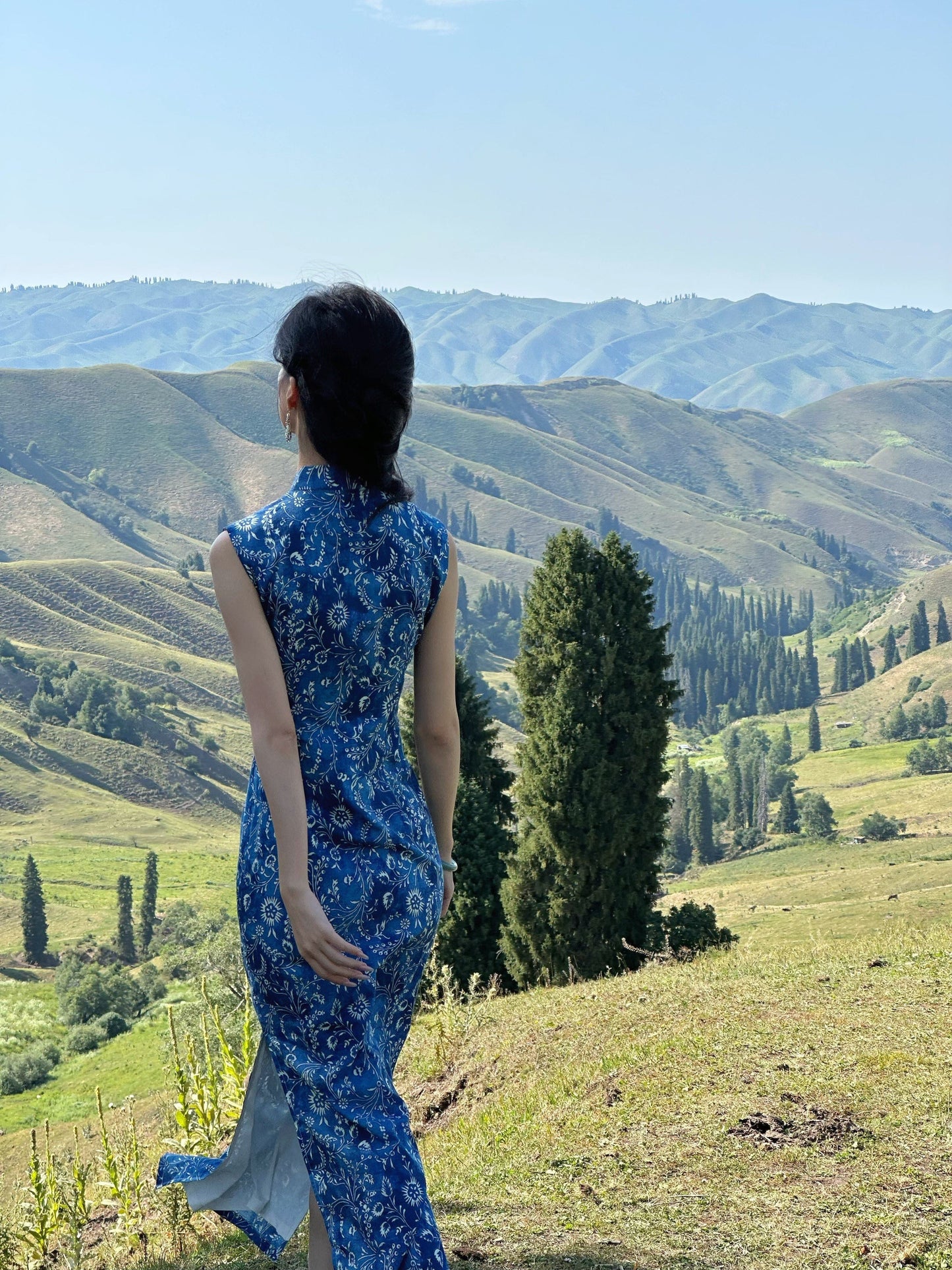 Sleeveless Retro Patterned Long Cheongsam | Song of the Wind