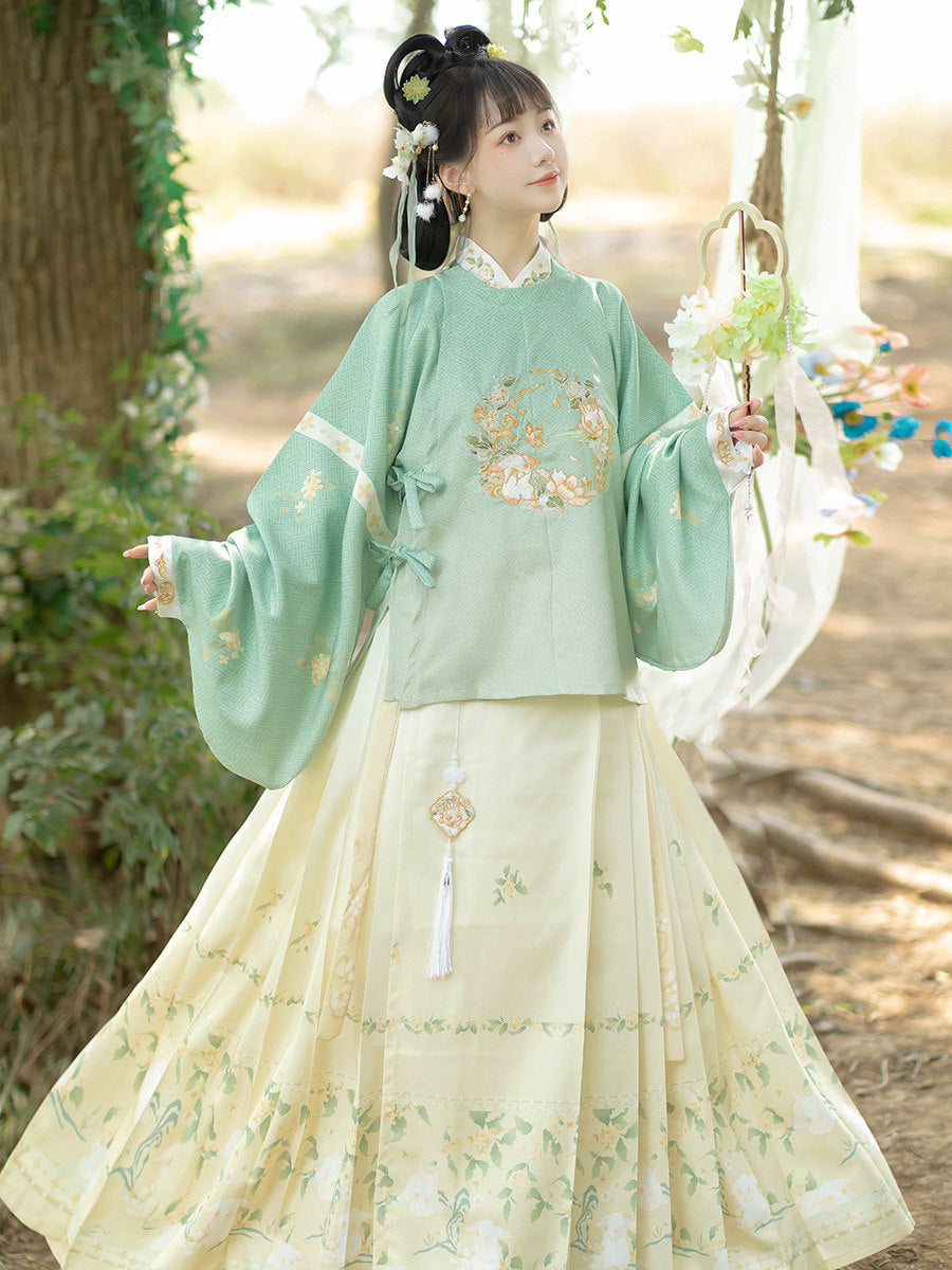 Ming Dynasty Pipa Sleeve Top & Printed Mamianqun | Rabbit 兔叽