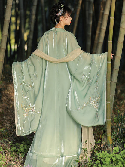 Ode to the Twilight 暮鸢颂 - Tang Dynasty Style Hanfu Dress Heziqun