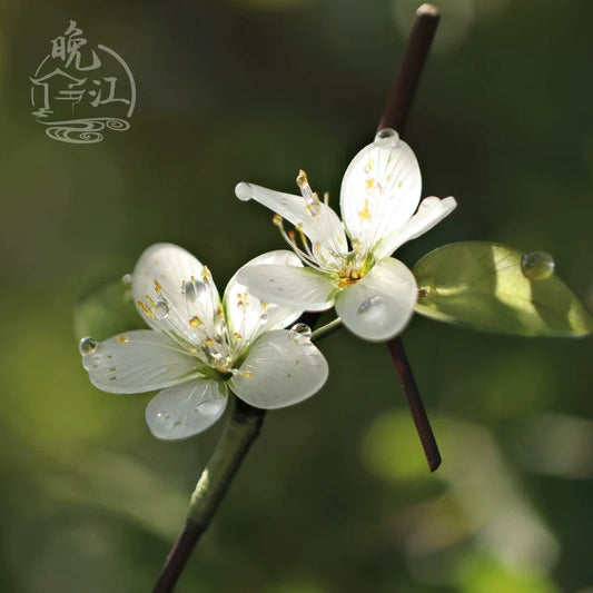 Tang Dynasty Pine Hair Stick | Traditional Chinese Hair Accessory