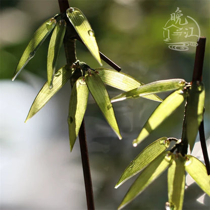 Bamboo Hair Stick | Traditional Chinese Hair Accessory