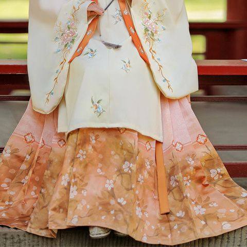 Ming Dynasty Embroidered Robe & Printed Horse Face Skirt | Lixia 立夏
