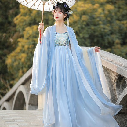 Ode to the Twilight 暮鸢颂 - Tang Dynasty Style Hanfu Dress Heziqun