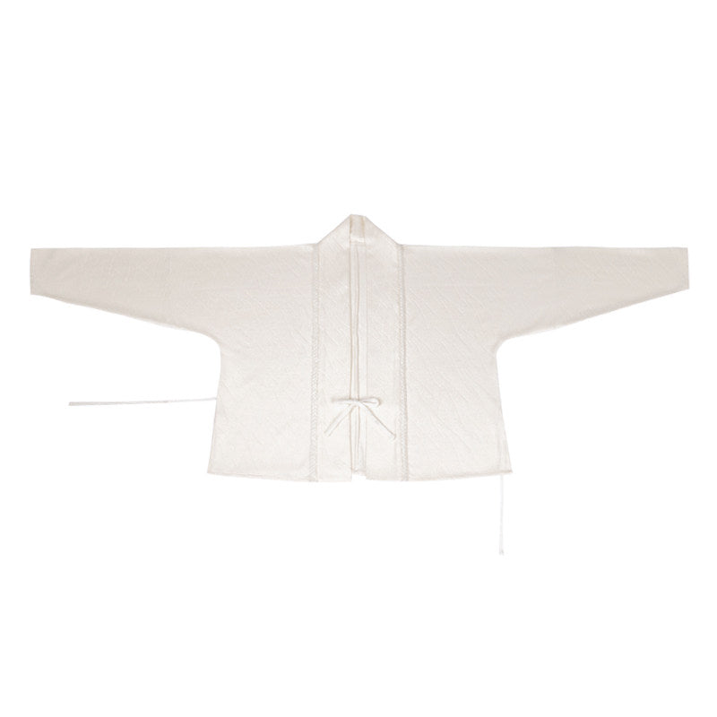 Song Dynasty Modern Hanfu Winged Sleeve Top and Wrap Skirt for Autumn and Winter - Plum Fragrance 倚梅香 (Preorder)