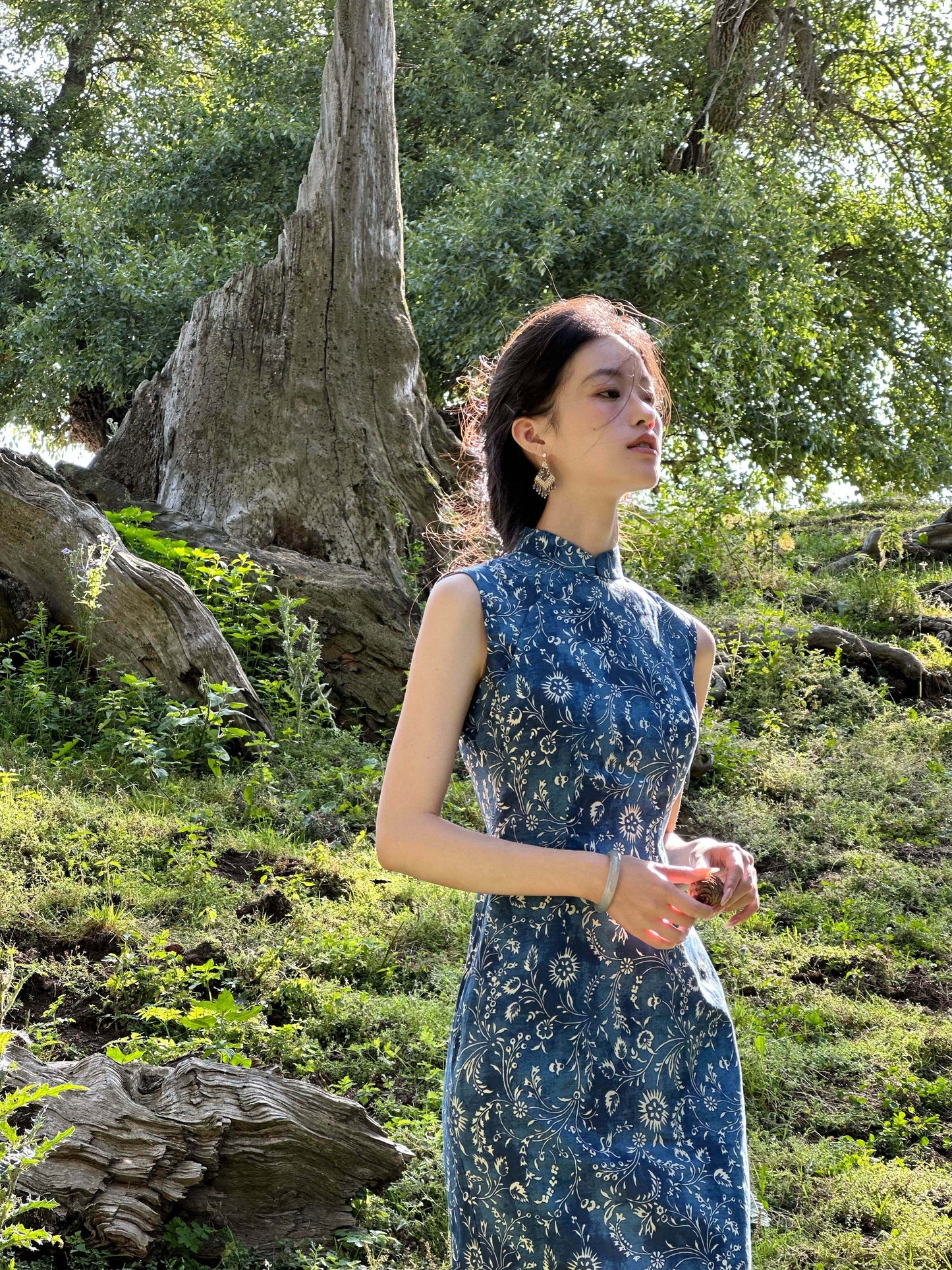 Sleeveless Retro Patterned Long Cheongsam | Song of the Wind