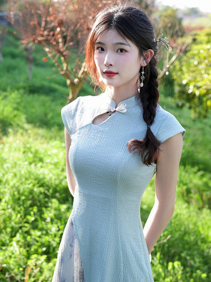 Short Sleeve A Line Long Cheongsam | Unknown Spring