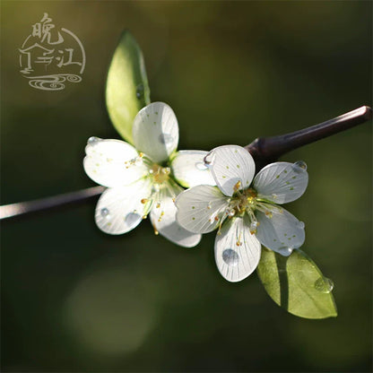 Tang Dynasty Pine Hair Stick | Traditional Chinese Hair Accessory