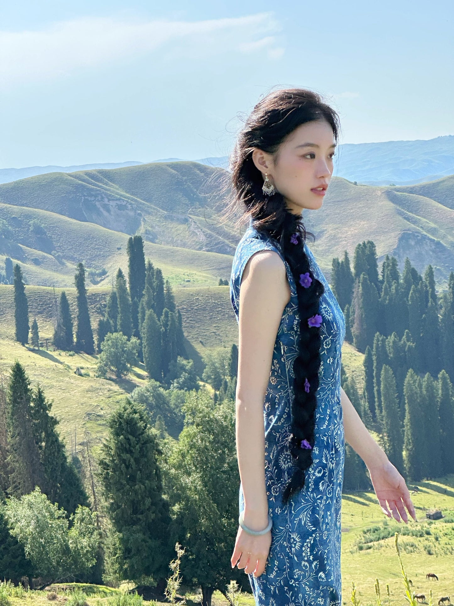 Sleeveless Retro Patterned Long Cheongsam | Song of the Wind