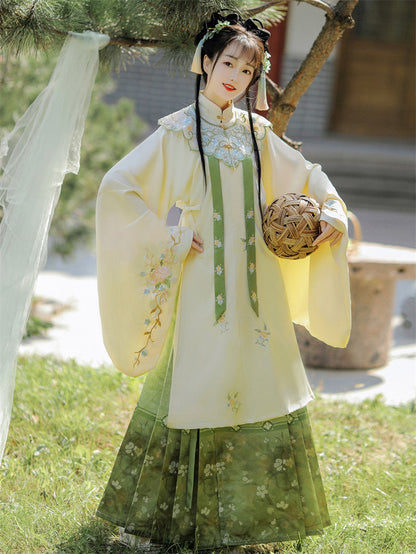 Ming Dynasty Embroidered Robe & Printed Horse Face Skirt | Lixia 立夏