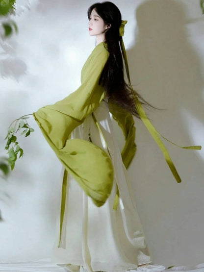 Wei Jin Dynasty Qiyao Ruqun Hanfu | Wanqing 挽卿