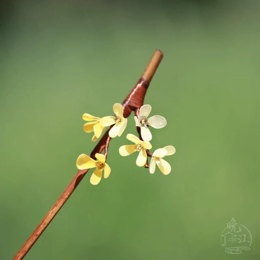 Osmanthus Hair Stick | Traditional Chinese Hair Accessory