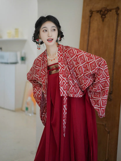 Thousand Lights Night 千灯夜行 - Modern Tang Dynasty Hanfu Dress (Preorder)