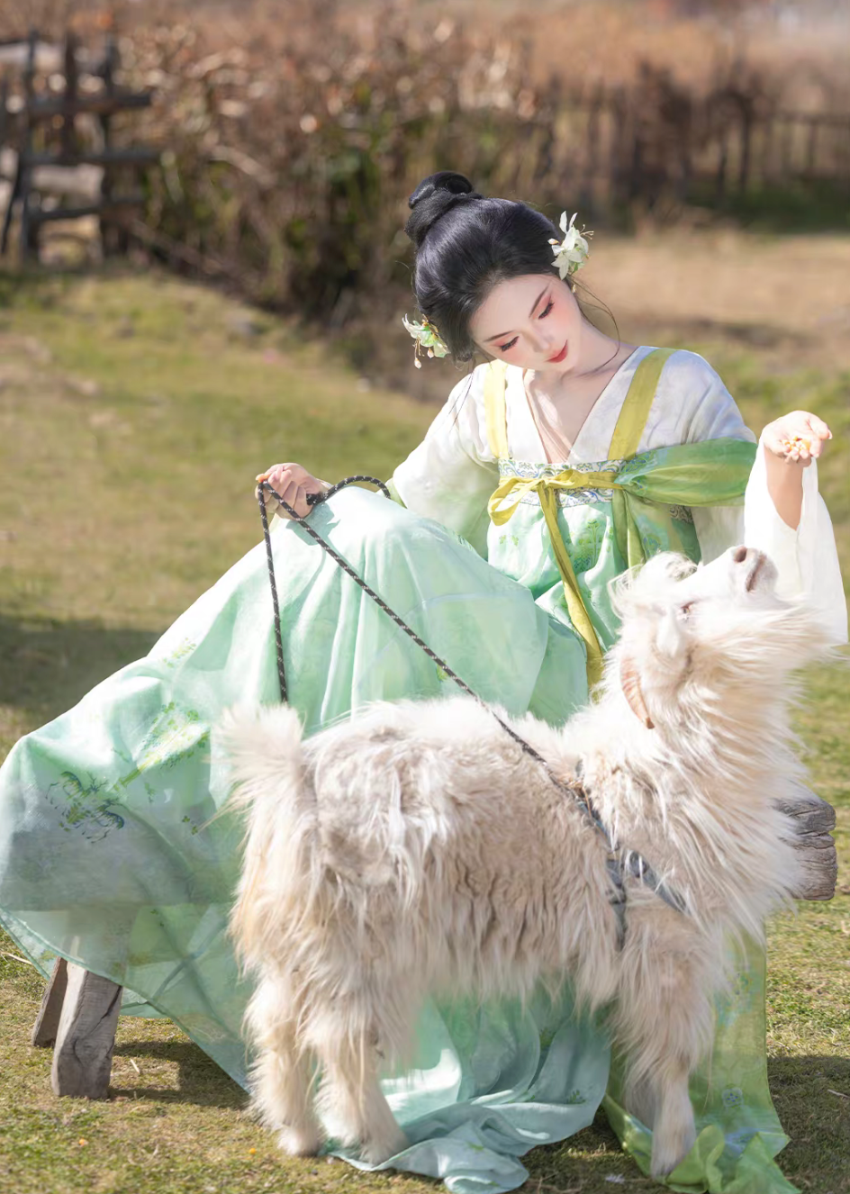 Yu Lu Tuan | Tang Style Short Jacket Hanfu Set for Spring Daily Wear