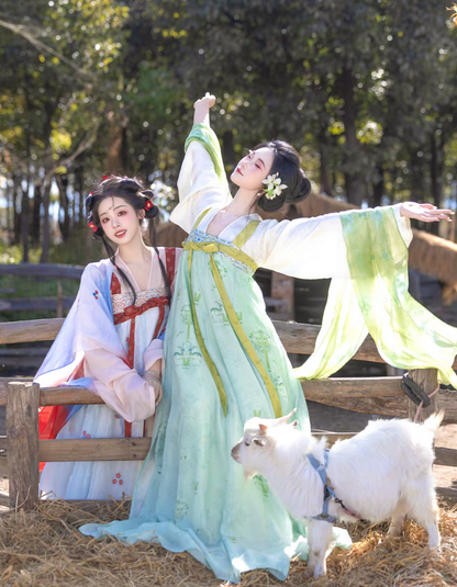 Yu Lu Tuan | Tang Style Short Jacket Hanfu Set for Spring Daily Wear