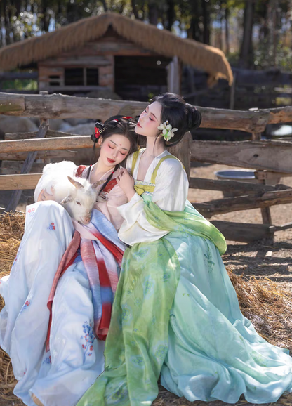 Yu Lu Tuan | Tang Style Short Jacket Hanfu Set for Spring Daily Wear