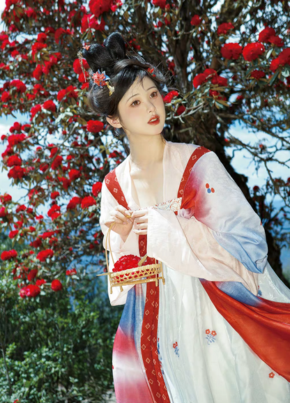 Mei Hua Su | Tang Style Modern Hanfu Dress for Spring
