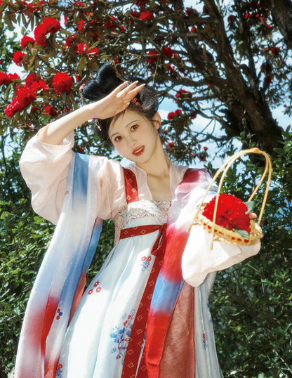 Mei Hua Su | Tang Style Modern Hanfu Dress for Spring
